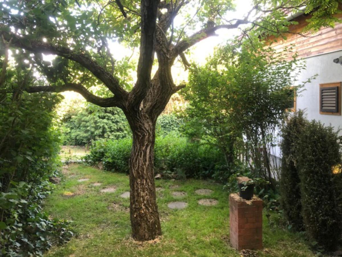 Villa Tulipan Haz à Szentendre Extérieur photo