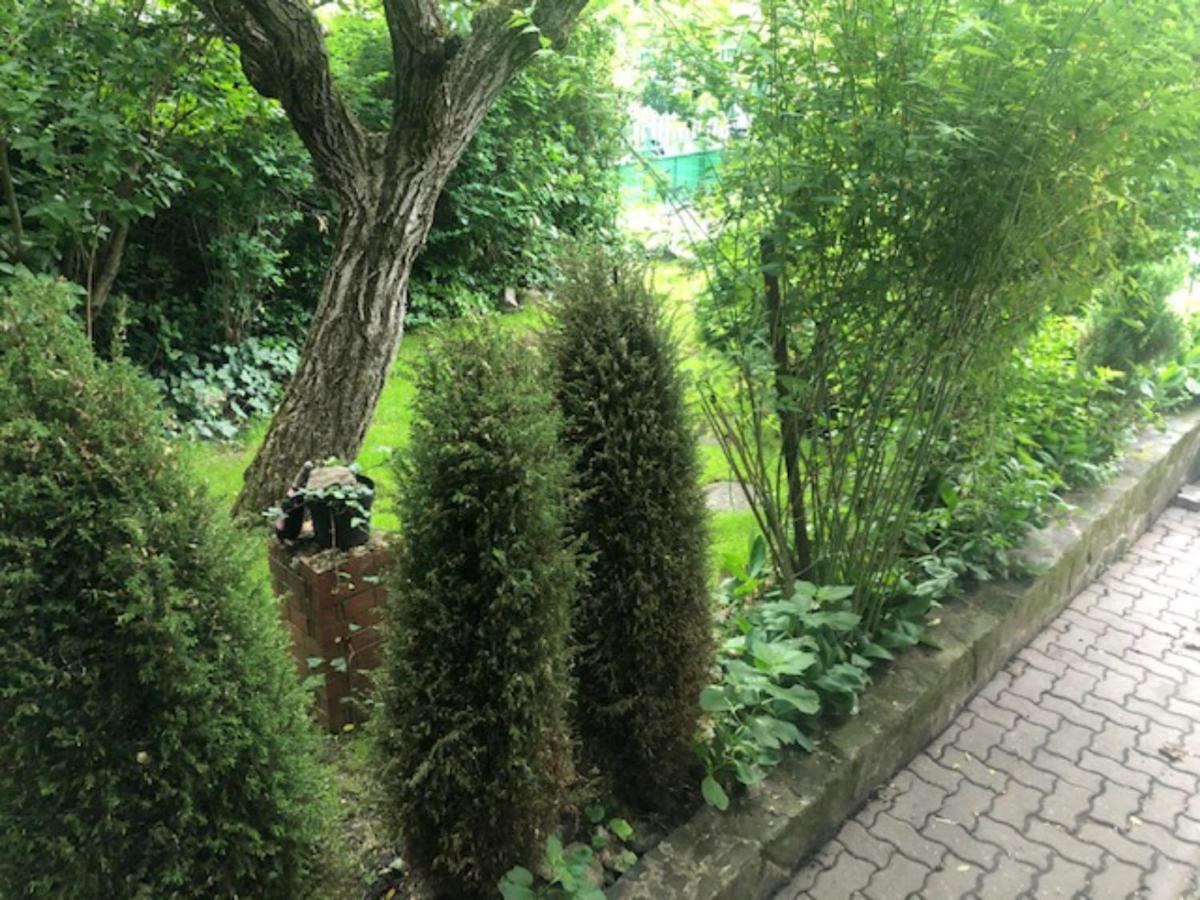 Villa Tulipan Haz à Szentendre Extérieur photo